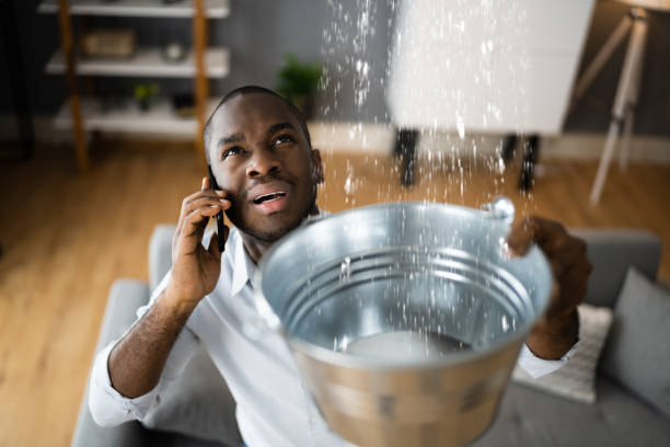 Best Professional water damage repair  in Dallas, NC