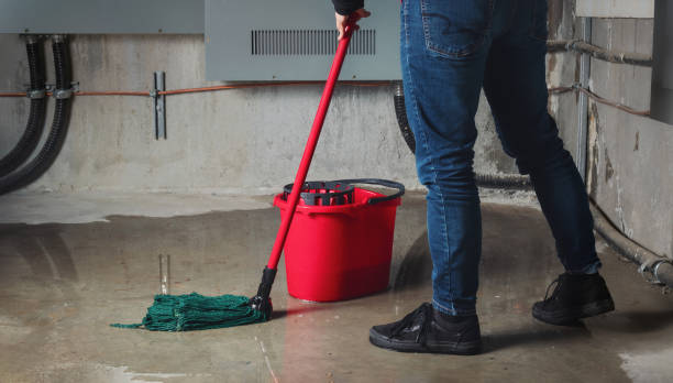 Best Water damage restoration mold remediation  in Dallas, NC